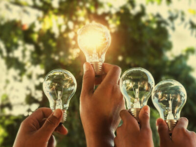 Solar,Energy,Concept,Hand,Group,Holding,Light,Bulb,In,Nature